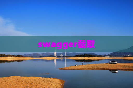 swagger截取